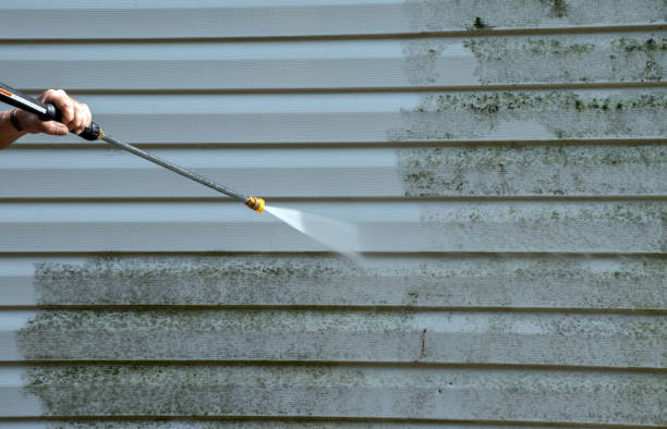 Best Concrete Pressure Washing  in Pine Prairie, LA