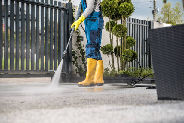 Best Local Pressure Washing Services  in Pine Prairie, LA