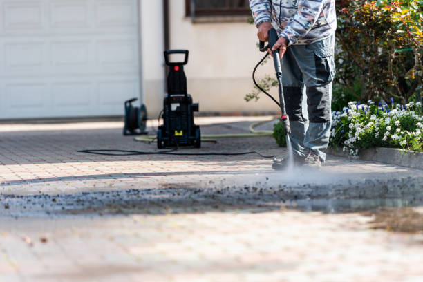 Best Power Washing Near Me  in Pine Prairie, LA