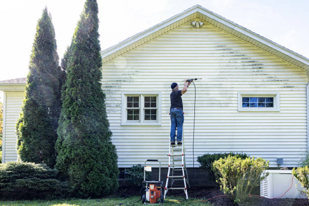 Best House Pressure Washing  in Pine Prairie, LA