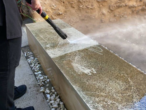 Best Garage Pressure Washing  in Pine Prairie, LA